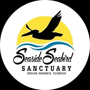 Seaside Seabird Sanctuary